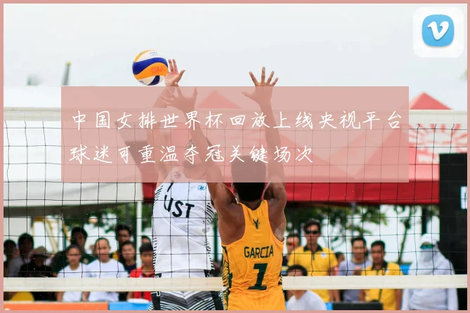 中国女排世界杯回放上线央视平台球迷可重温夺冠关键场次